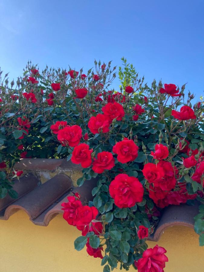 La Rosa Del Lago Bracciano  Eksteriør billede