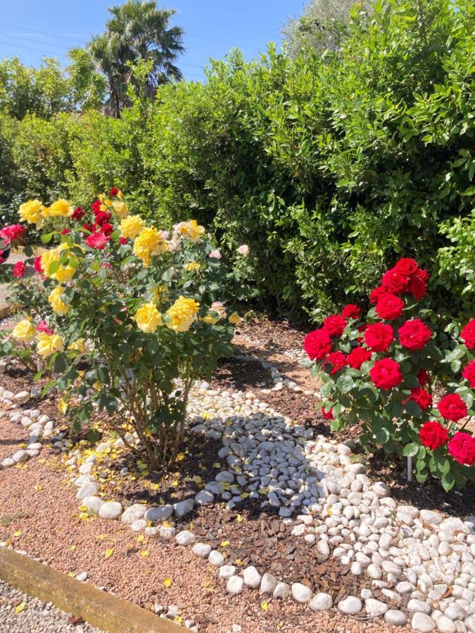 La Rosa Del Lago Bracciano  Eksteriør billede