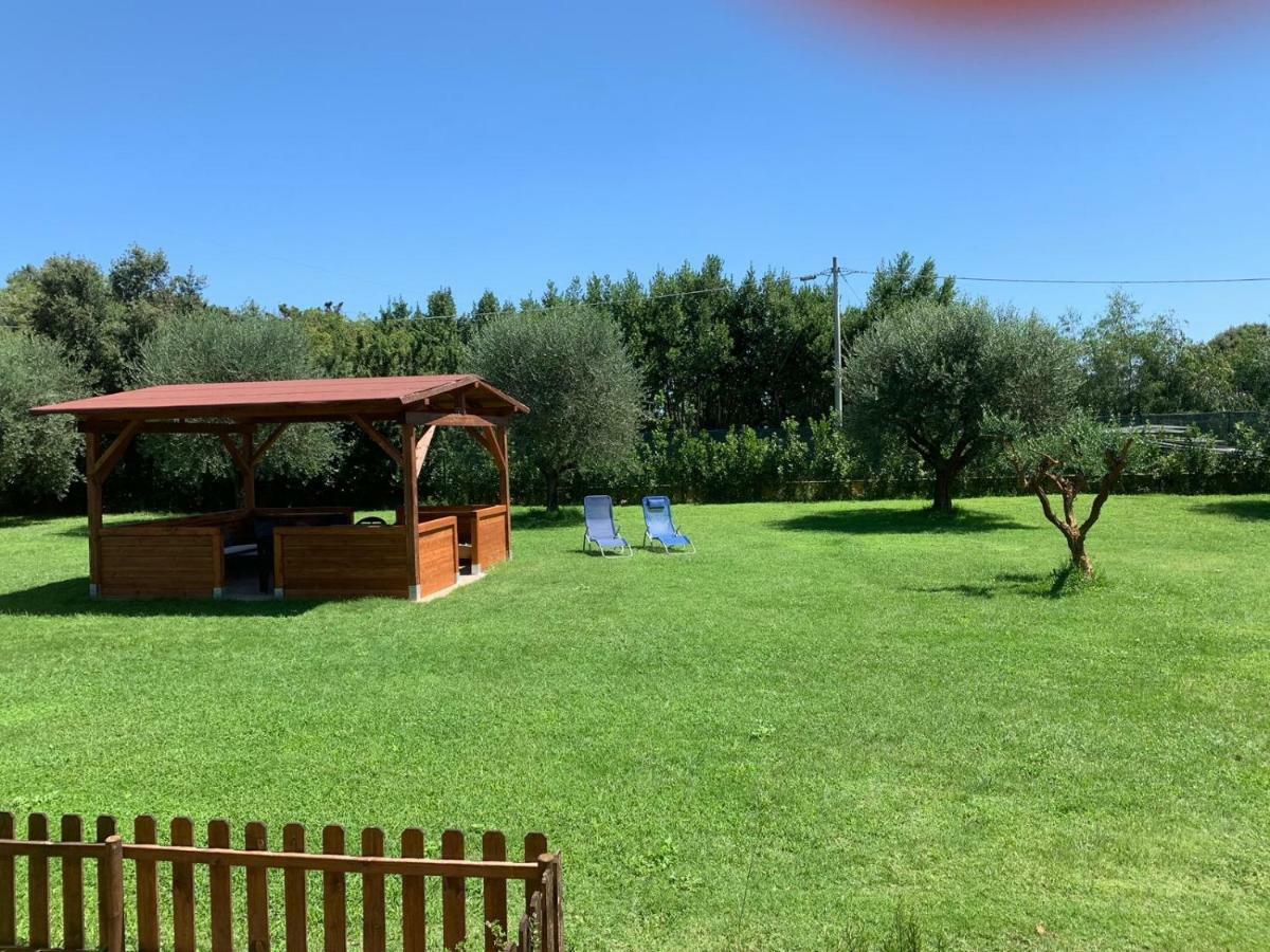 La Rosa Del Lago Bracciano  Eksteriør billede